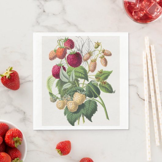  aardbei servet (Insitu)