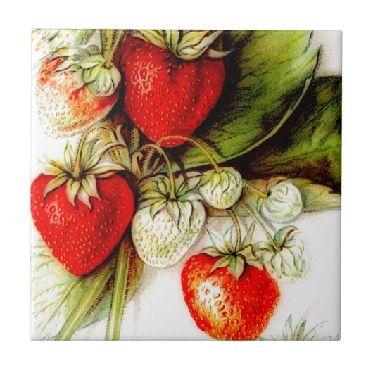  aardbei tegeltje (Voorkant)