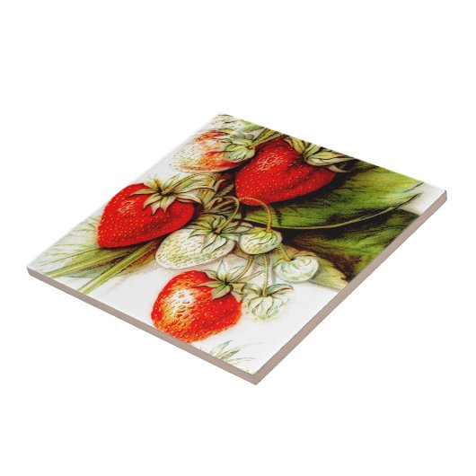  aardbei tegeltje (Zijkant)