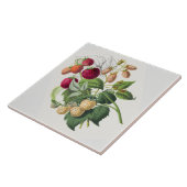  aardbei tegeltje (Zijkant)