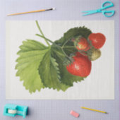  aardbei tissuepapier (Craft)