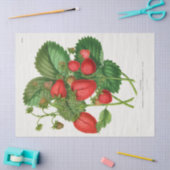  aardbei tissuepapier (Craft)