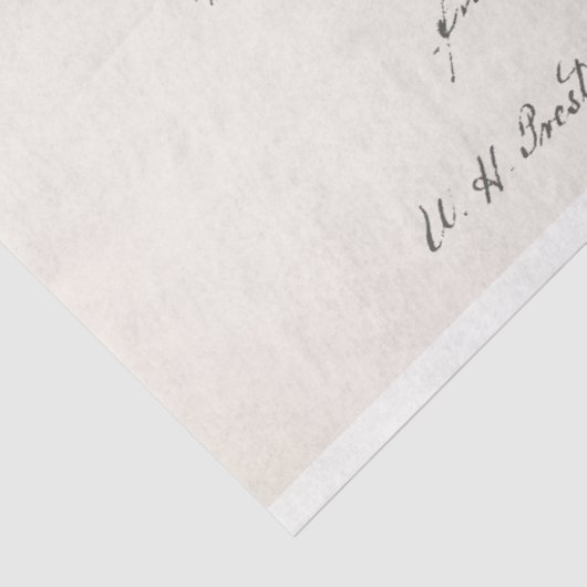  aardbei tissuepapier (Detail)