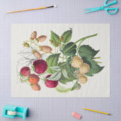  aardbei tissuepapier (Craft)