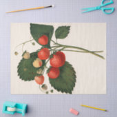 aardbei tissuepapier (Craft)