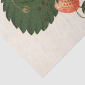  aardbei tissuepapier (Detail)