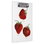  aardbei Trio Klembord (Rechts)