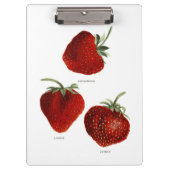 aardbei Trio Klembord (Voorkant)