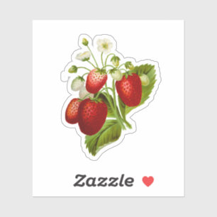 Aardbei Vinyl Stickers Zegels Aardbeien
