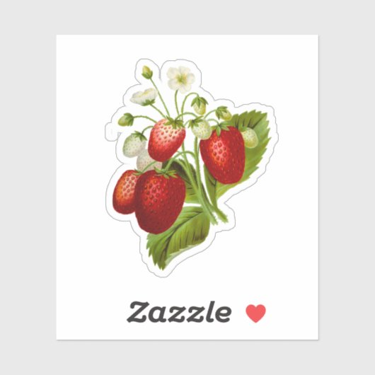 Aardbei Vinyl Stickers Zegels Aardbeien (Vel)