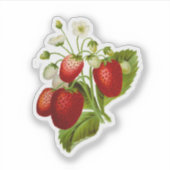 Aardbei Vinyl Stickers Zegels Aardbeien (Voorkant)