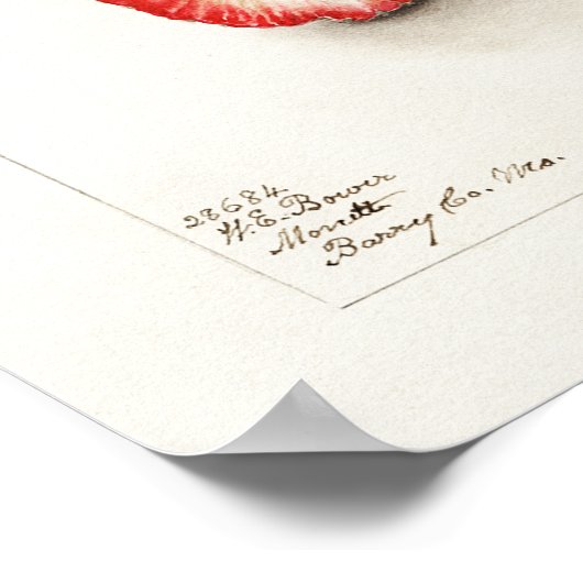 Aardbei waterverf poster (Hoek)