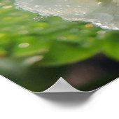 Aardbeibloem Poster (Hoek)