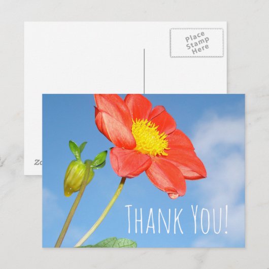 Aardbeibloesem Dank je wel Briefkaart (Voorkant / Achterkant)