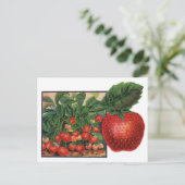  aardbeien, aardbeibessen op een Boerderij Briefkaart (Staand voorkant)