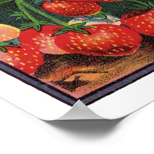  aardbeien, aardbeibessen op een Boerderij Poster (Hoek)