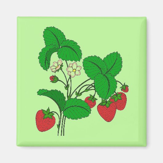 Aardbeien als ontbijt magneet (Voorkant)