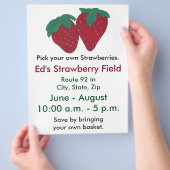 Aardbeien Boerderijen brochures (Hand)