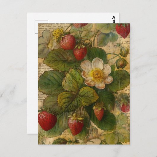 Aardbeien Briefkaart (Voorkant / Achterkant)