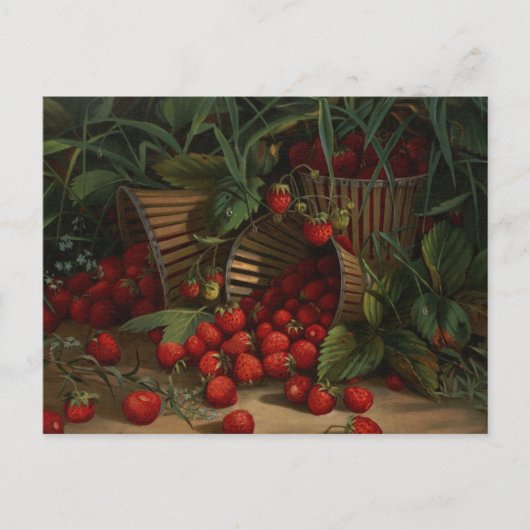 Aardbeien Briefkaart (Voorkant)