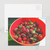 Aardbeien Briefkaart (Voorkant / Achterkant)