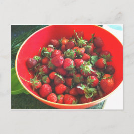 Aardbeien Briefkaart