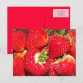 Aardbeien Briefkaart (Voorkant / Achterkant)