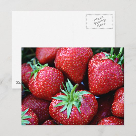 Aardbeien Briefkaarten (Voorkant / Achterkant)