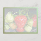 Aardbeien en crème ~ Invitation Briefkaart (Achterkant)