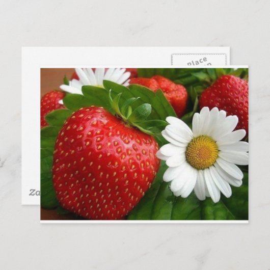 Aardbeien en zeeduivel briefkaart (Voorkant / Achterkant)