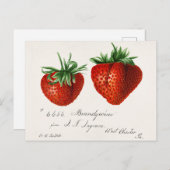 Aardbeien (Fragaria) Waterverf van vruchten Briefkaart (Voorkant / Achterkant)