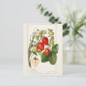 Aardbeien (Fragaria) Waterverf van vruchten Briefkaart (Staand voorkant)