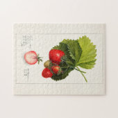 Aardbeien (Fragaria) Waterverf van vruchten Legpuzzel (Horizontaal)