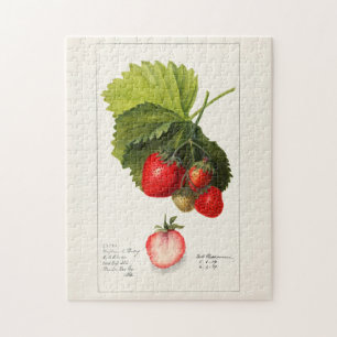 Aardbeien (Fragaria) Waterverf van vruchten Legpuzzel