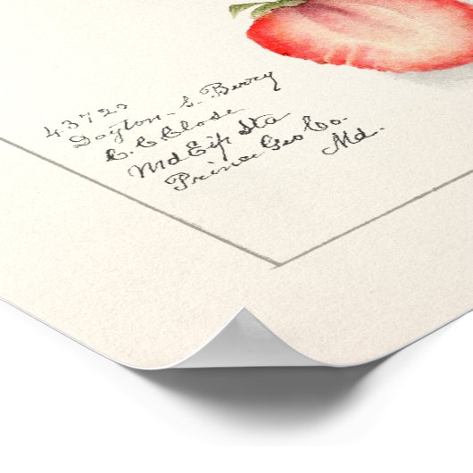 Aardbeien (Fragaria) Waterverf van vruchten Poster (Hoek)