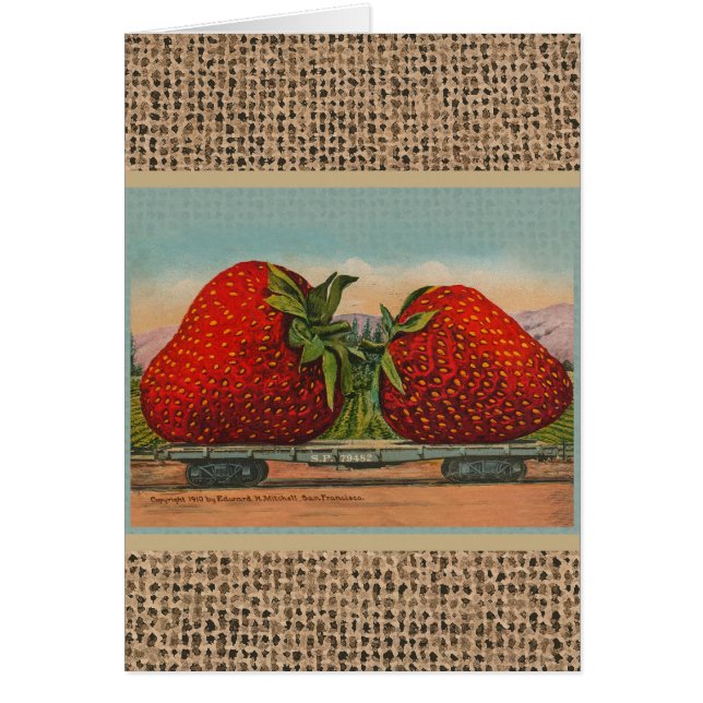 Aardbeien Giant Antiek Fruit (Voorkant)