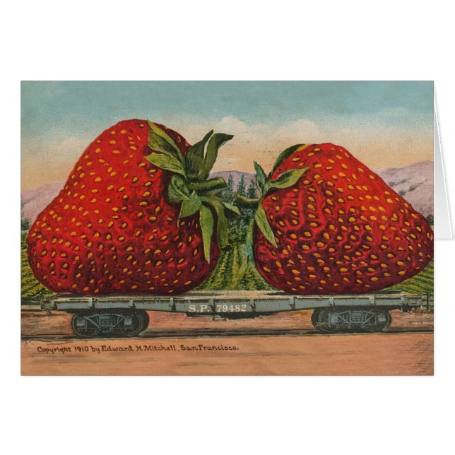 Aardbeien Giant Antiek Fruit (Voorkant Horizontaal)