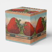 Aardbeien Giant Antiek Fruit Bedankdoosjes (Achterkant)