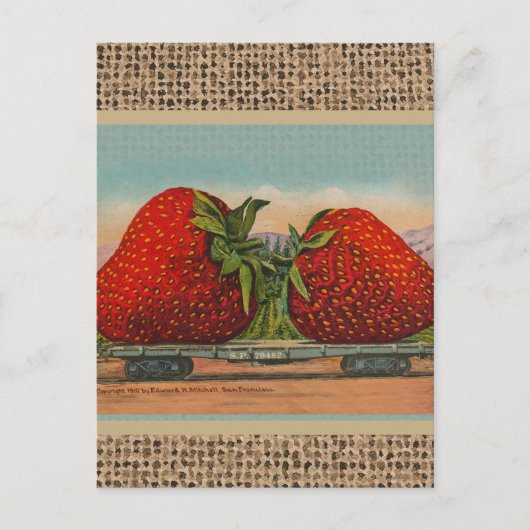 Aardbeien Giant Antiek Fruit Briefkaart (Voorkant)
