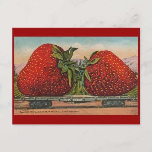 Aardbeien Giant Antiek Fruit Briefkaart (Voorkant)