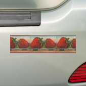 Aardbeien Giant Antiek Fruit Bumpersticker (Op auto)