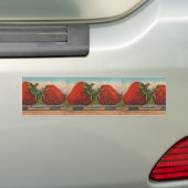 Aardbeien Giant Antiek Fruit Bumpersticker (Op auto)