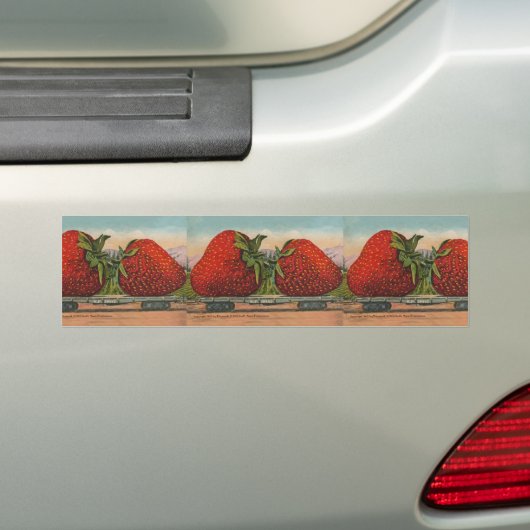Aardbeien Giant Antiek Fruit Bumpersticker (Op auto)