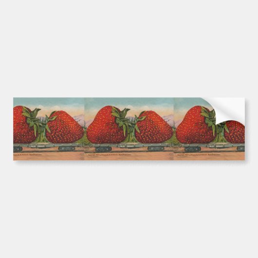 Aardbeien Giant Antiek Fruit Bumpersticker (Voorkant)