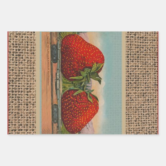 Aardbeien Giant Antiek Fruit Inpakpapier Vel (Voorkant 3)