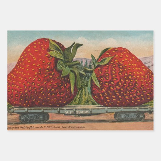 Aardbeien Giant Antiek Fruit Inpakpapier Vel (Voorkant)