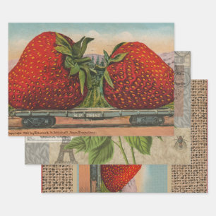 Aardbeien Giant Antiek Fruit Inpakpapier Vel