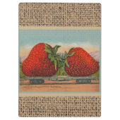 Aardbeien Giant Antiek Fruit Klembord (Achterkant)