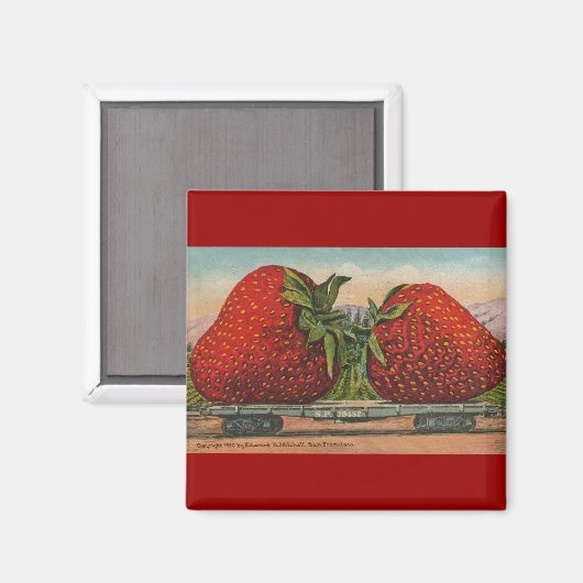 Aardbeien Giant Antiek Fruit Magneet (Voorkant / Achterkant)