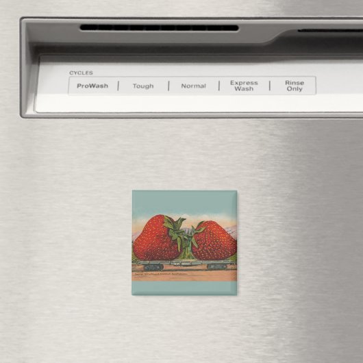 Aardbeien Giant Antiek Fruit Magneet (Insitu (Vaatwasser))